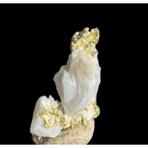 Gold on Quartz - Natural California Gold Specimen in Perky Display Box - #7 - Picture 1 of 7
